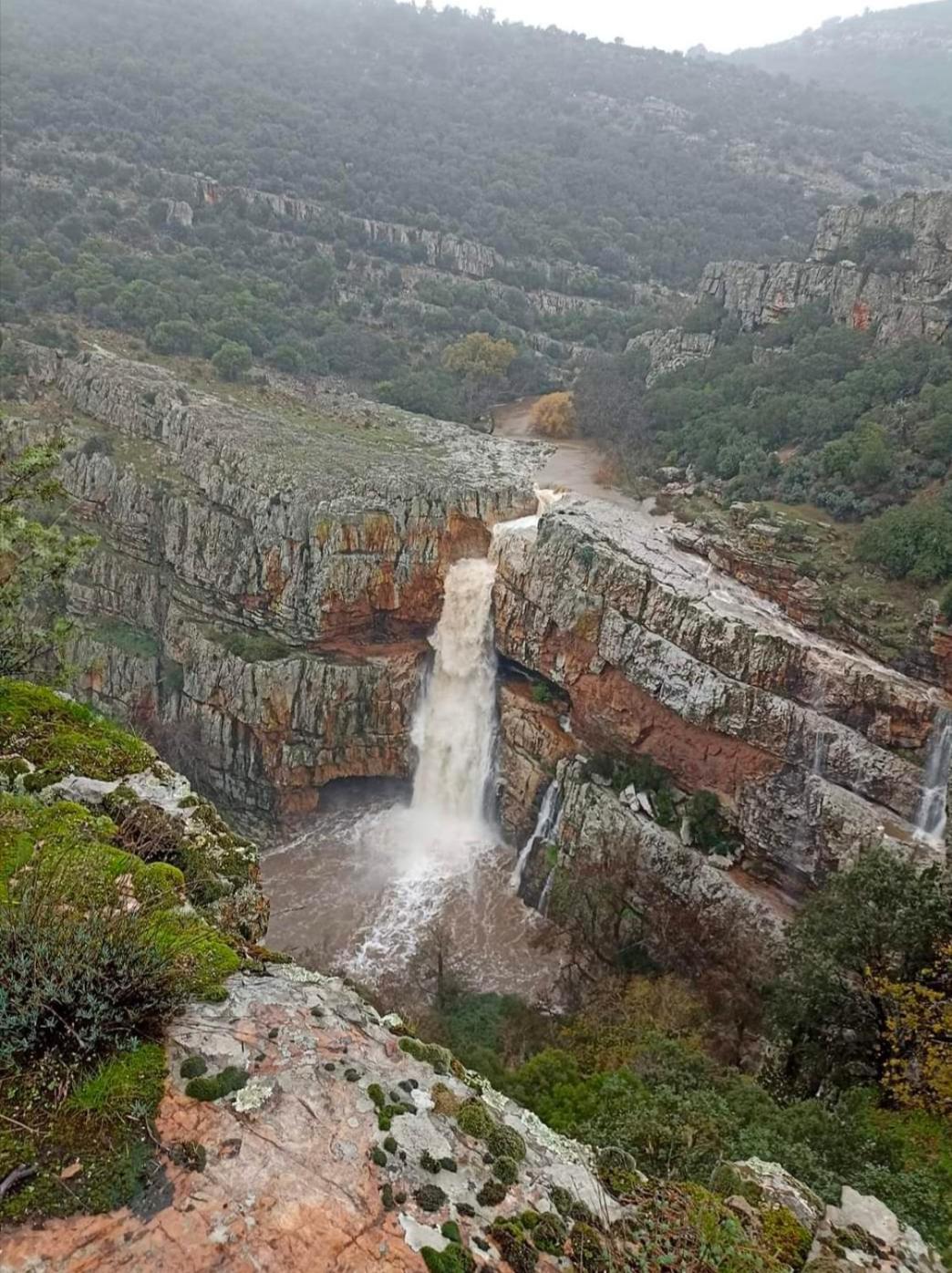 Casa Rural Batalla Navas De Tolosa, Despenaperros Santa Elena Eksteriør billede